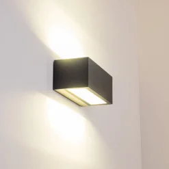 Applique Murale D'Exterieur Gemini Led Anthracite, 1 Lumiere