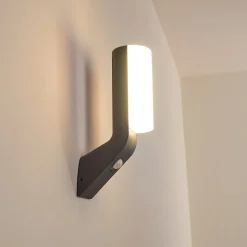 Applique Murale D'Exterieur Porus Led Anthracite, 1 Lumiere, Detecteur De Mouvement