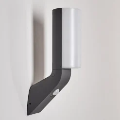 Applique Murale D'Exterieur Porus Led Anthracite, 1 Lumiere, Detecteur De Mouvement