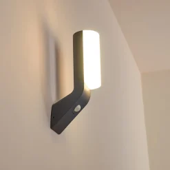 Applique Murale D'Exterieur Porus Led Anthracite, 1 Lumiere, Detecteur De Mouvement