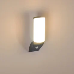 Applique Murale D'Exterieur Porus Led Anthracite, 1 Lumiere, Detecteur De Mouvement