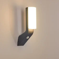 Applique Murale D'Exterieur Porus Led Anthracite, 1 Lumiere, Detecteur De Mouvement