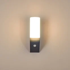 Applique Murale D'Exterieur Porus Led Anthracite, 1 Lumiere, Detecteur De Mouvement