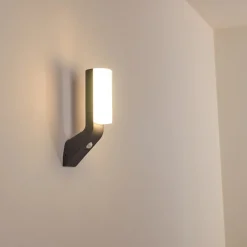 Applique Murale D'Exterieur Porus Led Anthracite, 1 Lumiere, Detecteur De Mouvement
