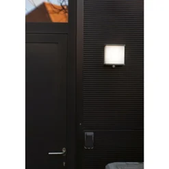 Applique Murale D'Exterieur Lutec Doblo Led Anthracite, 1 Lumiere, Detecteur De Mouvement