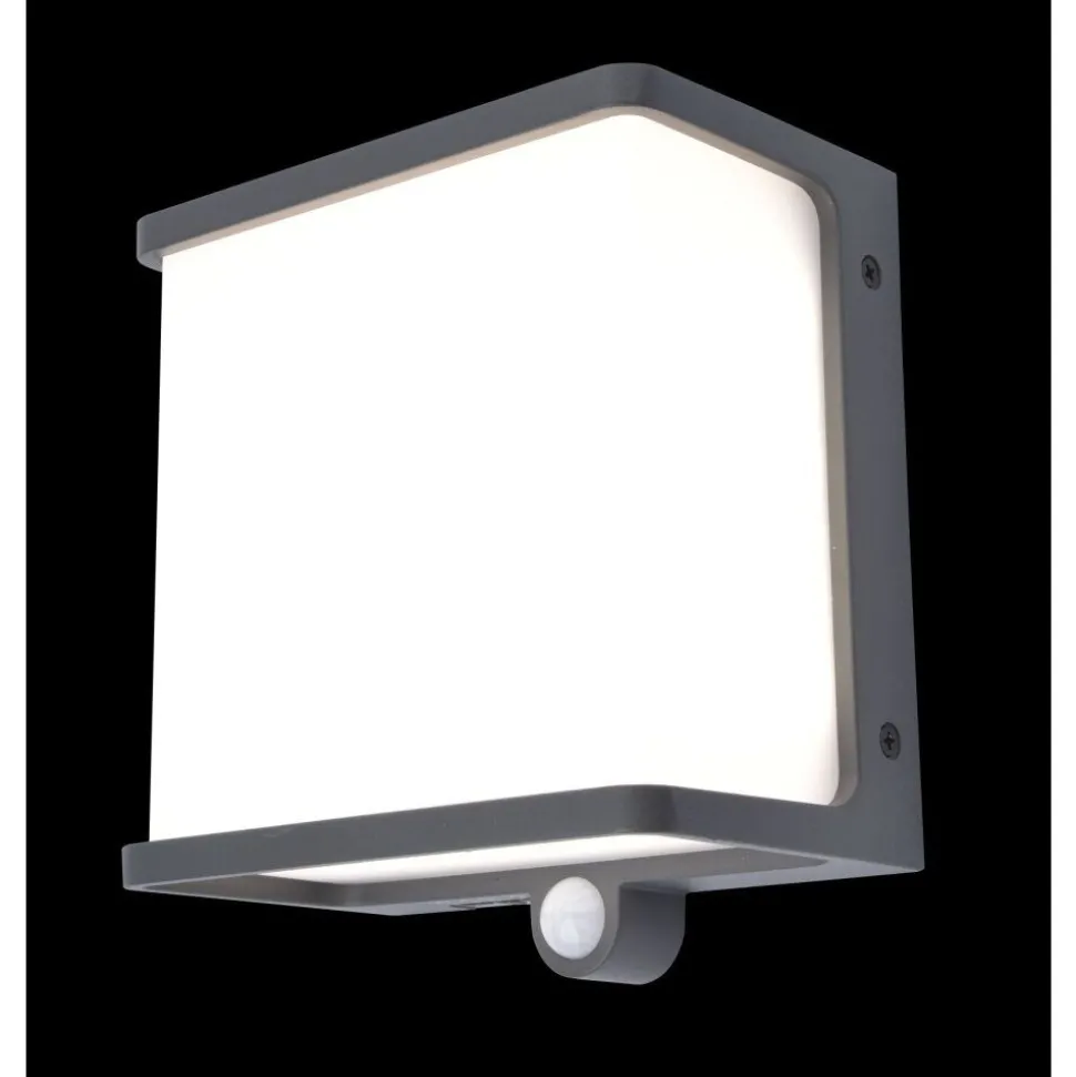 Applique Murale D'Exterieur Lutec Doblo Led Anthracite, 1 Lumiere, Detecteur De Mouvement