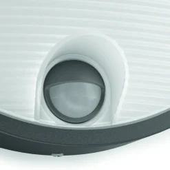 Applique Murale D'Exterieur Philips Capricorn Led Anthracite, 1 Lumiere, Detecteur De Mouvement