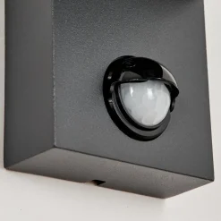 Applique Murale D'Exterieurkingstown Anthracite, Transparent, 1 Lumiere, Detecteur De Mouvement