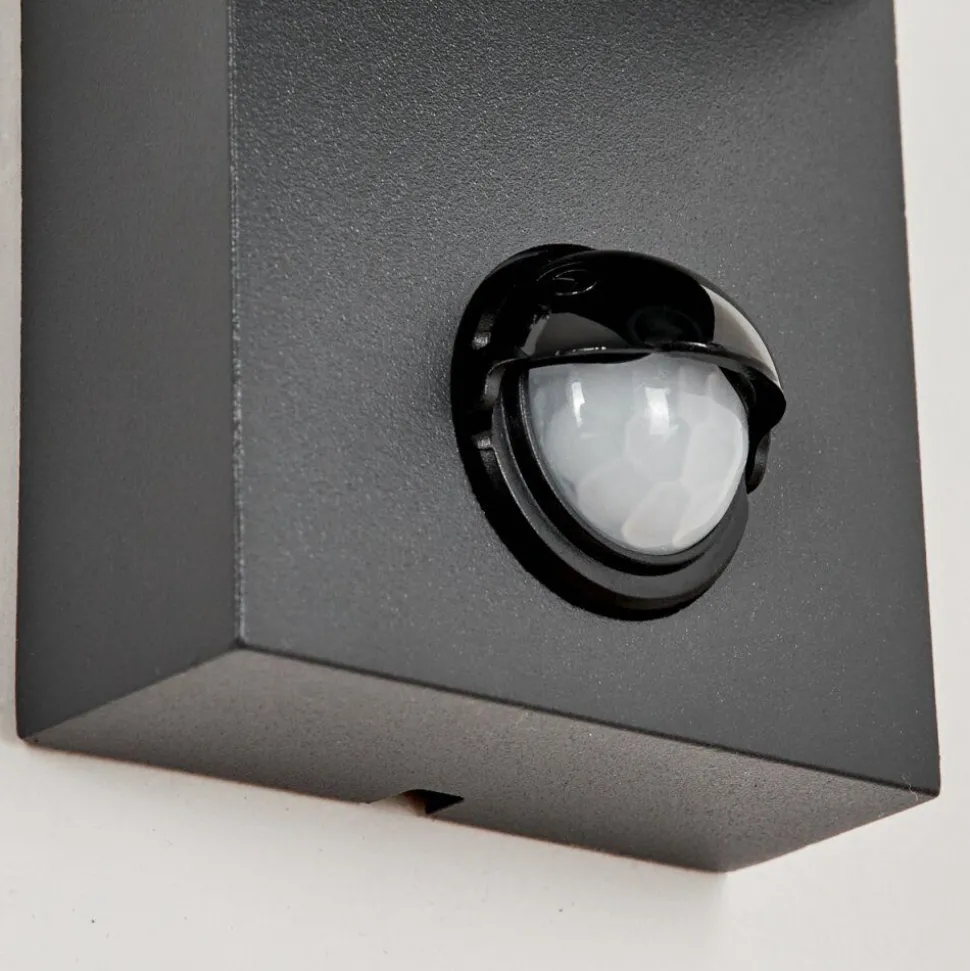 Applique Murale D'Exterieurkingstown Anthracite, Transparent, 1 Lumiere, Detecteur De Mouvement