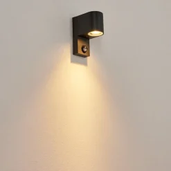 Applique Murale D'Exterieurkingstown Anthracite, Transparent, 1 Lumiere, Detecteur De Mouvement
