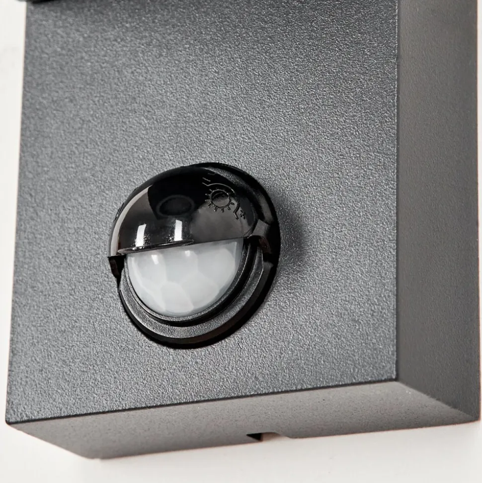Applique Murale D'Exterieurkingstown Anthracite, Transparent, 1 Lumiere, Detecteur De Mouvement