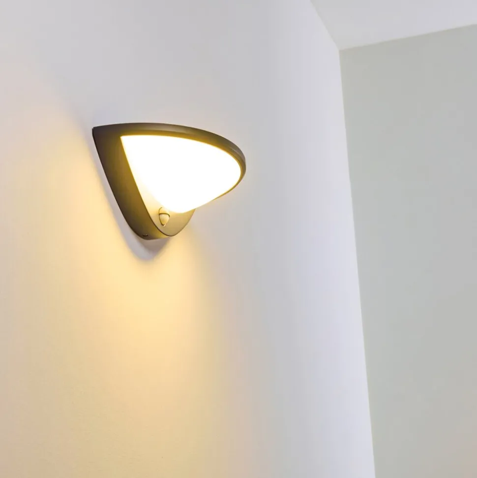 Applique Murale D'Exterieur Carano Led Noir, 1 Lumiere, Detecteur De Mouvement