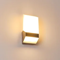 Applique Murale D'Exterieur Clear Led Nickel Mat, 1 Lumiere