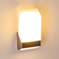 Applique Murale D'Exterieur Clear Led Nickel Mat, 1 Lumiere