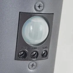 Applique Murale D'Exterieur Sessa Anthracite, 1 Lumiere, Detecteur De Mouvement
