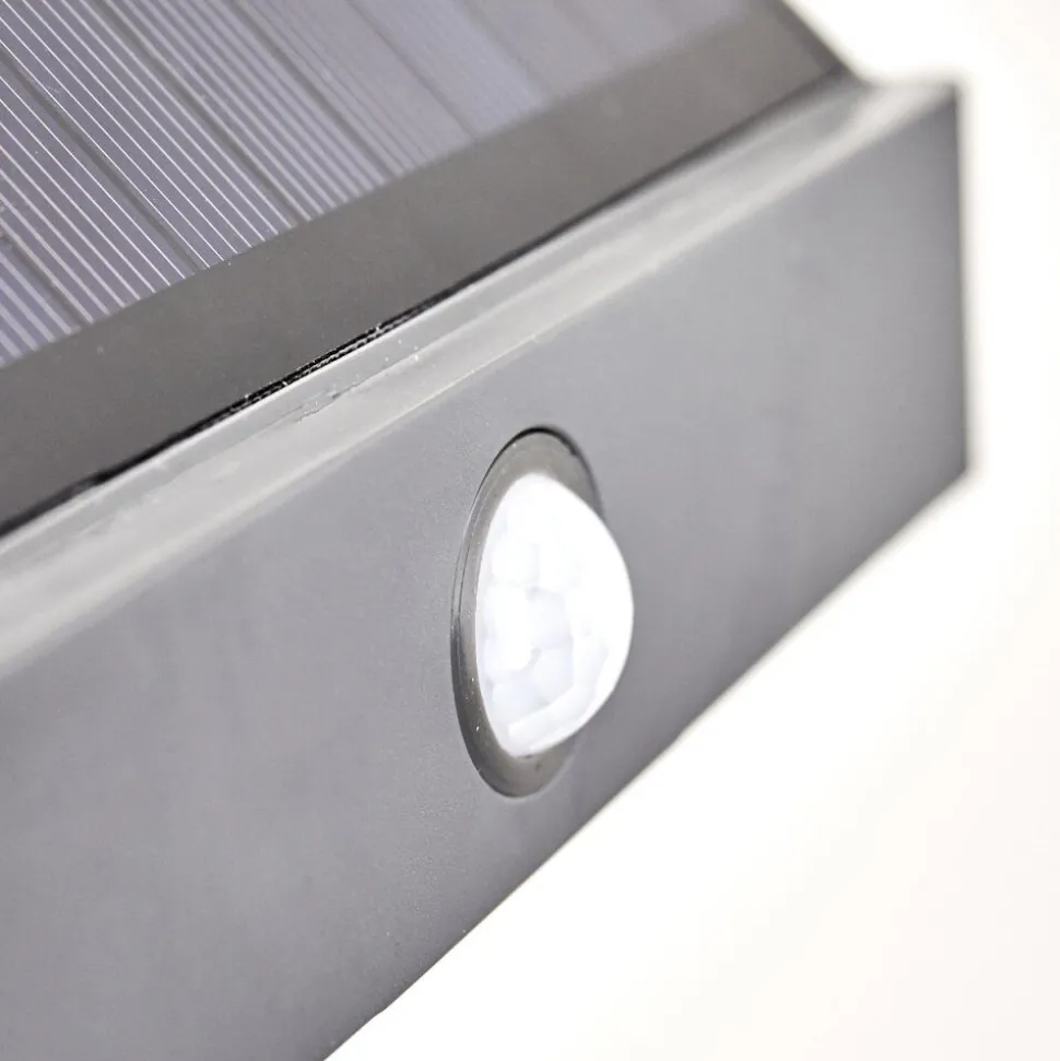 Applique Murale D'Exterieur Wiborg Led Anthracite, 1 Lumiere, Detecteur De Mouvement