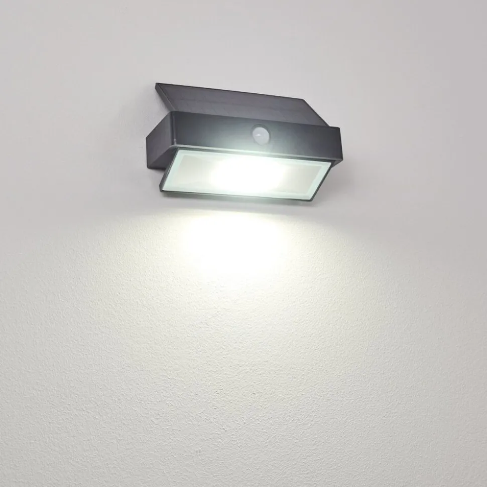 Applique Murale D'Exterieur Wiborg Led Anthracite, 1 Lumiere, Detecteur De Mouvement