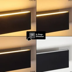 Applique Murale Obion Led Anthracite, 2 Lumieres