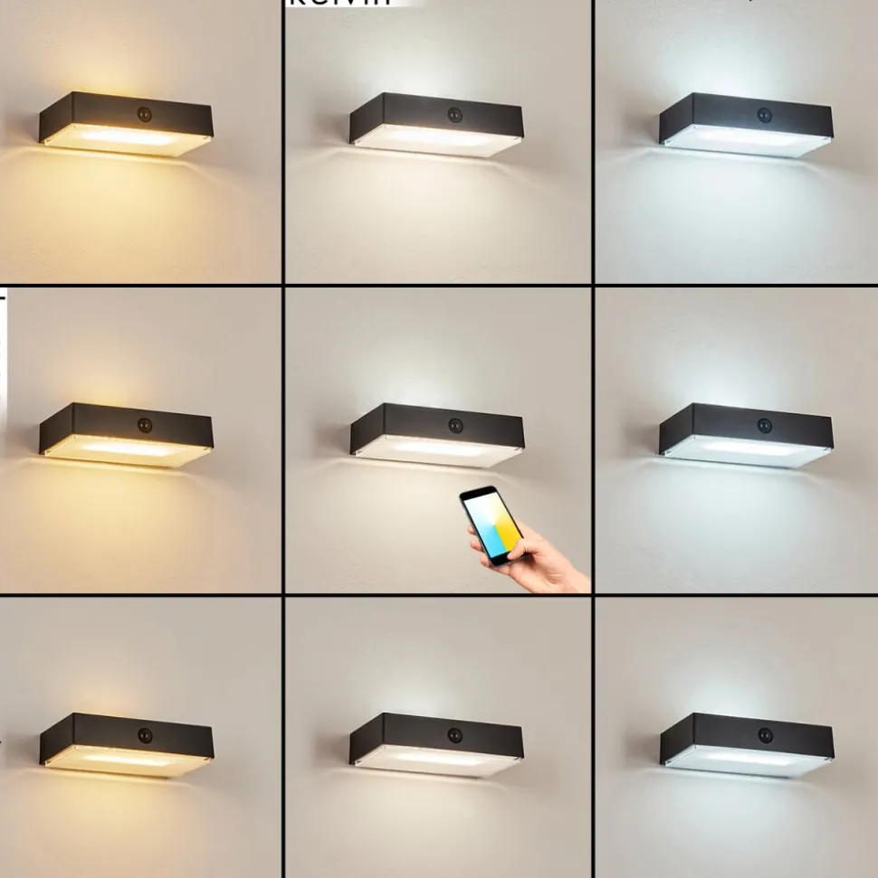 Applique Solaireseilhac Led Noir, 1 Lumiere, Detecteur De Mouvement