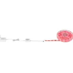 Bande Globo Eduard, 1 Lumiere, Changeur De Couleurs