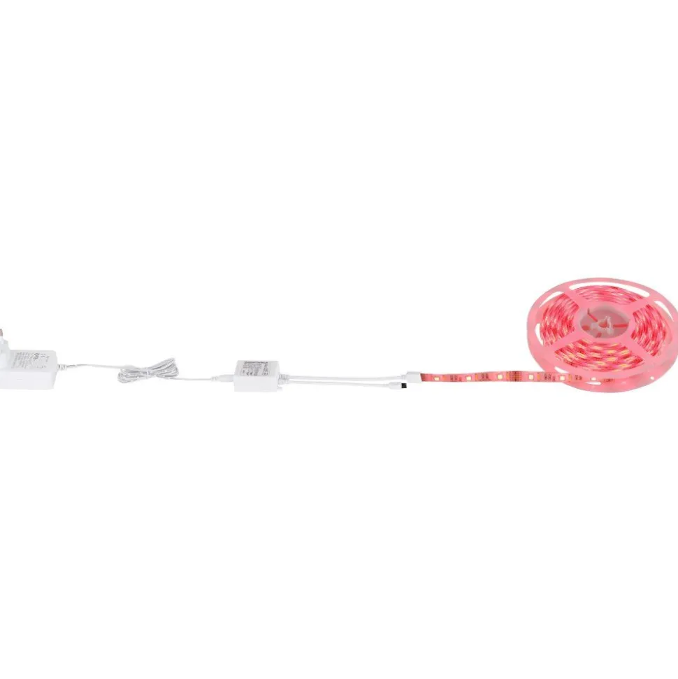 Bande Globo Eduard, 1 Lumiere, Changeur De Couleurs