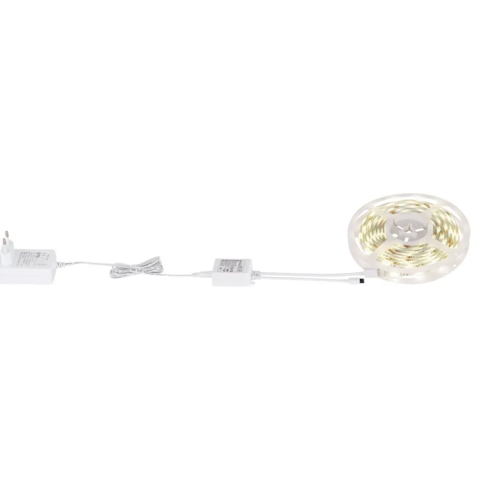 Bande Globo Eduard, 1 Lumiere, Changeur De Couleurs