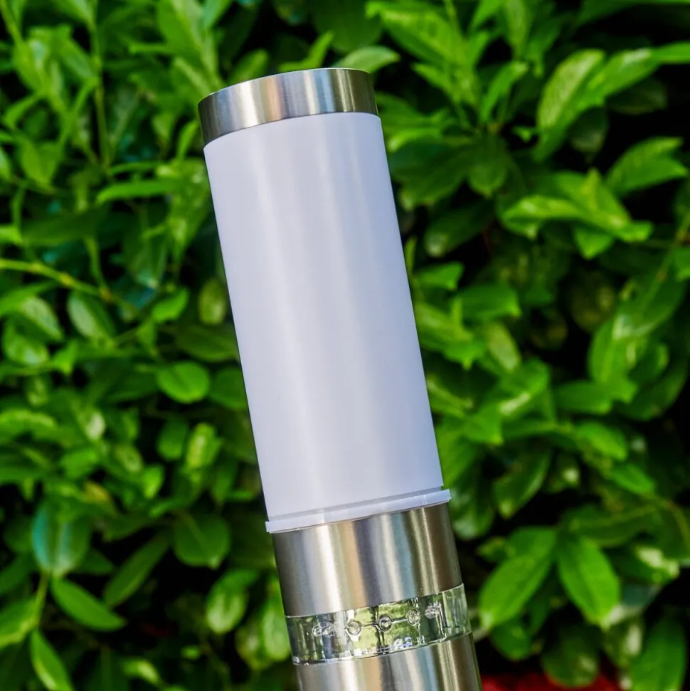 Borne D'Eclairage Walise Acier Inoxydable, 1 Lumiere, Detecteur De Mouvement