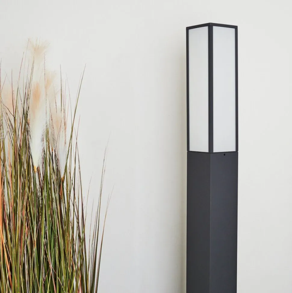 Borne Lumineuse Apidou Led Anthracite, 1 Lumiere