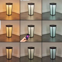 Borne Lumineuse Begg Led Noir, 1 Lumiere, Detecteur De Mouvement, Changeur De Couleurs