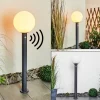 Borne Lumineuse Bubodefo Anthracite, 1 Lumiere, Detecteur De Mouvement