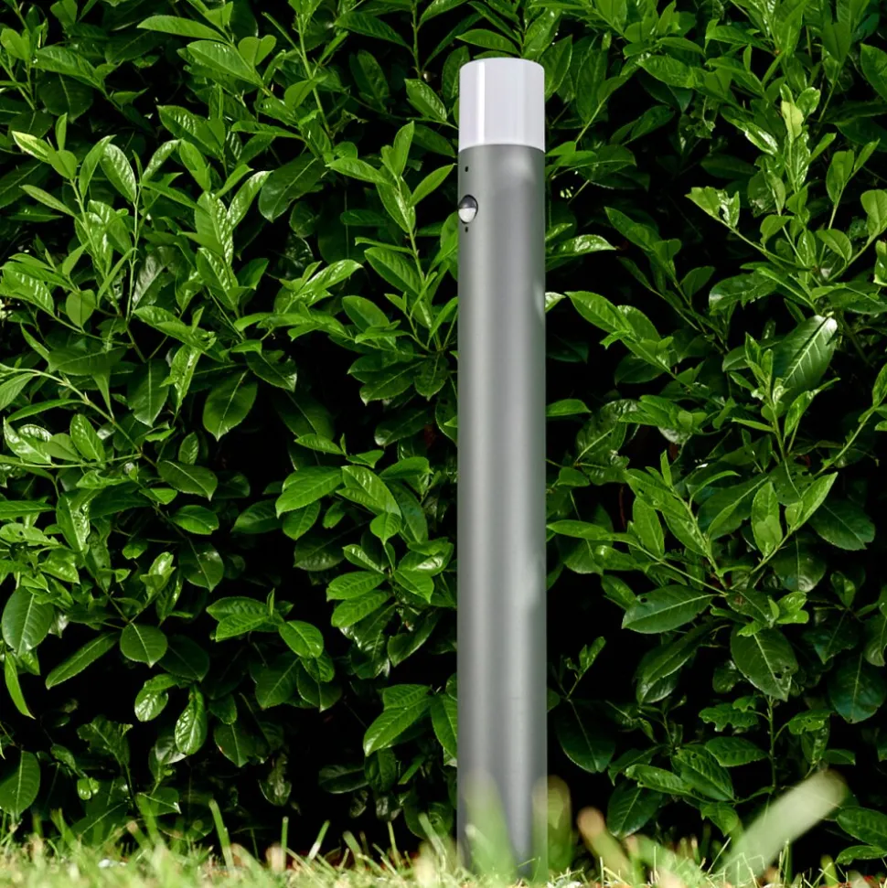 Borne Lumineuse Buhrkall Anthracite, 1 Lumiere, Detecteur De Mouvement