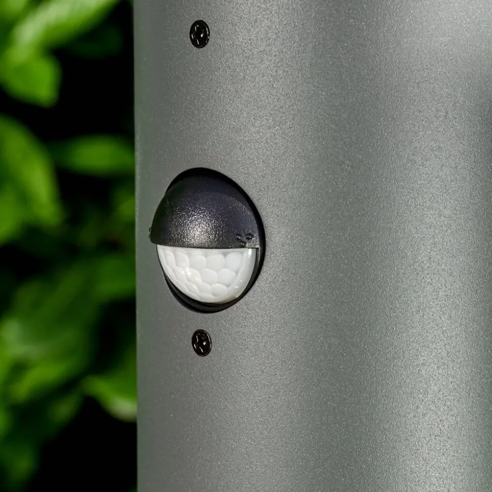 Borne Lumineuse Buhrkall Anthracite, 1 Lumiere, Detecteur De Mouvement