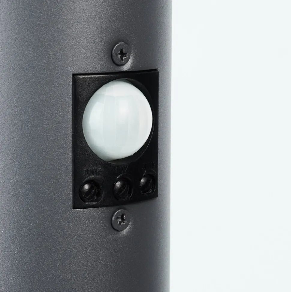 Borne Lumineuse Caserta Anthracite, 1 Lumiere, Detecteur De Mouvement