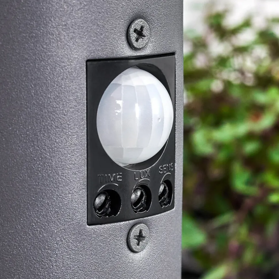 Borne Lumineuse Gaborone Anthracite, 1 Lumiere, Detecteur De Mouvement