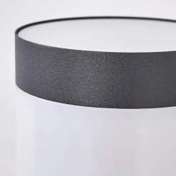 Borne Lumineuse Gaborone Anthracite, 1 Lumiere, Detecteur De Mouvement