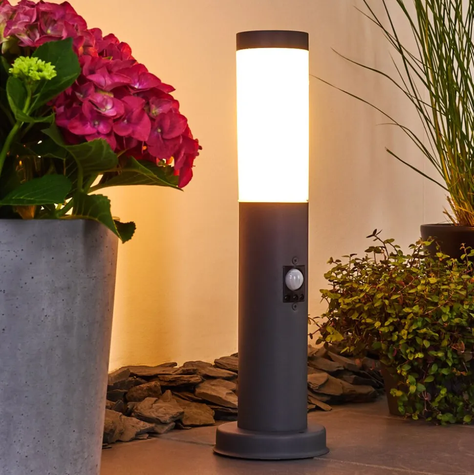 Borne Lumineuse Gaborone Anthracite, 1 Lumiere, Detecteur De Mouvement