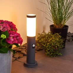Borne Lumineuse Gaborone Anthracite, 1 Lumiere, Detecteur De Mouvement