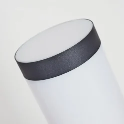Borne Lumineuse Gaborone Anthracite, 1 Lumiere, Detecteur De Mouvement