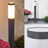 Borne Lumineuse Gaborone Anthracite, 1 Lumiere