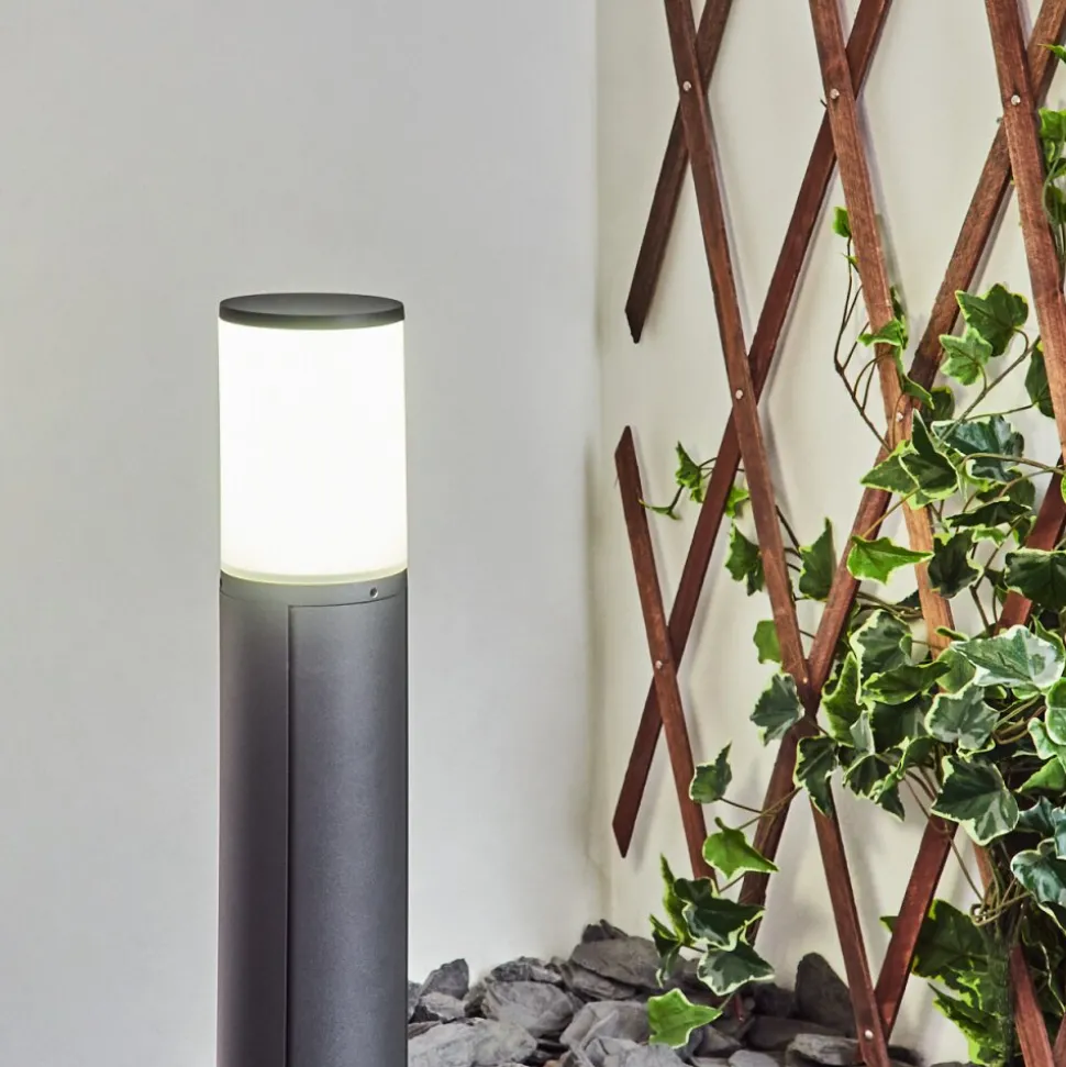 Borne Lumineuse Home Led Anthracite, 1 Lumiere