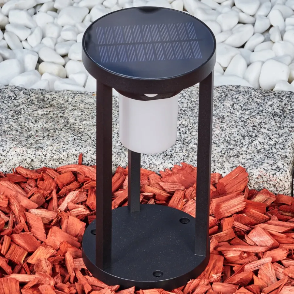 Borne Lumineuse Lokpano Led Noir, 1 Lumiere, Detecteur De Mouvement