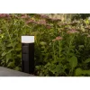 Borne Lumineuse Lutec Mains Led Noir, 1 Lumiere