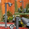 Borne Lumineuse Milond Anthracite, 1 Lumiere
