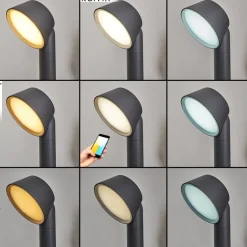 Borne Lumineuse Moroni Led Anthracite, 1 Lumiere