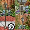 Borne Lumineuse Naofe Or, Noir, 1 Lumiere, Detecteur De Mouvement