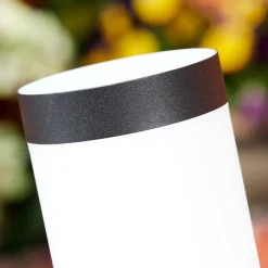Borne Lumineuse Ruti Noir, 1 Lumiere, Detecteur De Mouvement