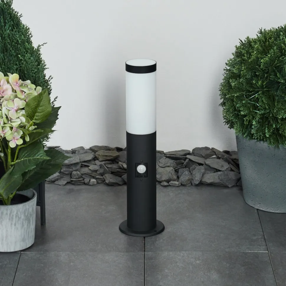 Borne Lumineuse Ruti Noir, 1 Lumiere, Detecteur De Mouvement