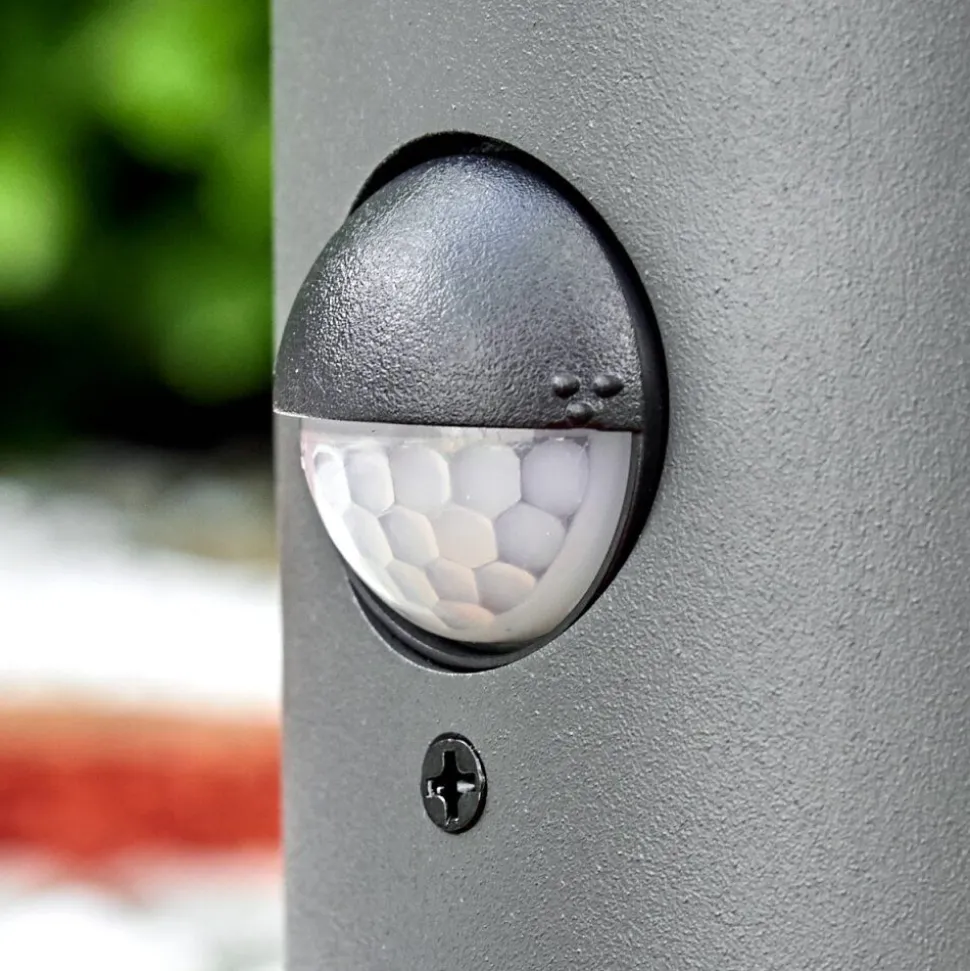 Borne Lumineuse Schafhaus Anthracite, 1 Lumiere, Detecteur De Mouvement