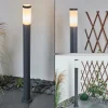 Borne Lumineuse Sessa Anthracite, 1 Lumiere