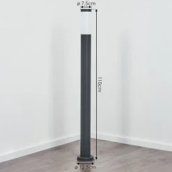 Borne Lumineuse Sessa Anthracite, 1 Lumiere
